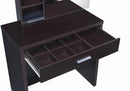 2-Piece Vanity Set With Lift-Top Stool Cappuccino